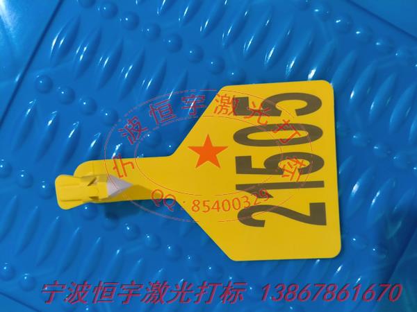 塑料產品laser雕刻